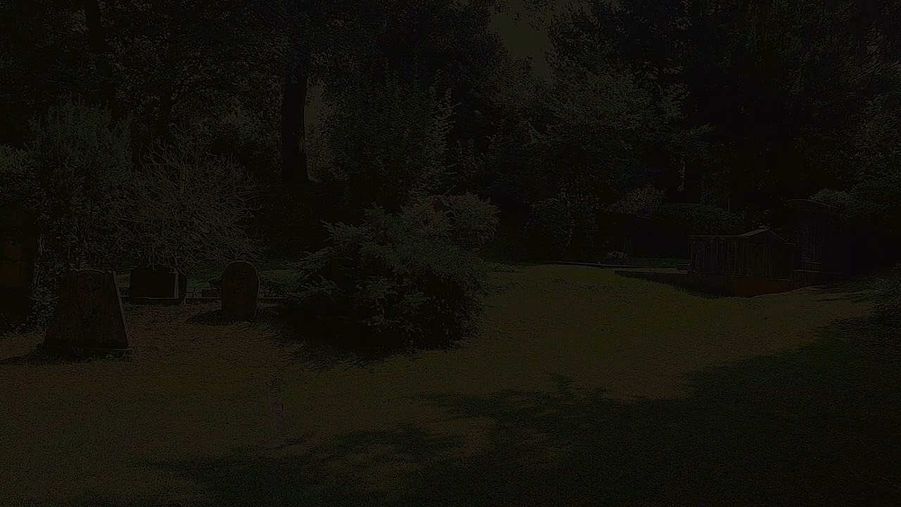 To The Dark I Offer Six Putrefied Organs ⎪ Graveyard Ambient ⎪