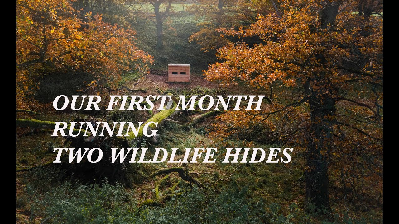 OUR FIRST MONTH RUNNING TWO WILDLIFE HIDES