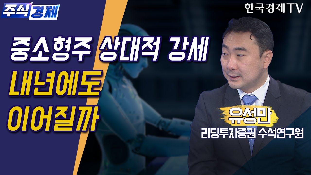 중소형주 상대적 강세 내년에도 이어질까(유성만) / 주식경제 이슈분석 / 한국경제TV