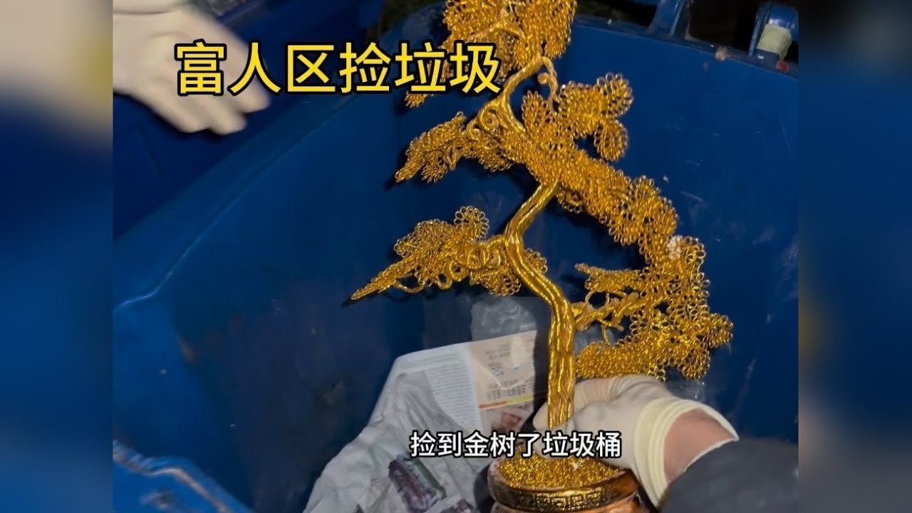 富人区捡垃圾 盘点富人区垃圾桶能捡到什么东西？
