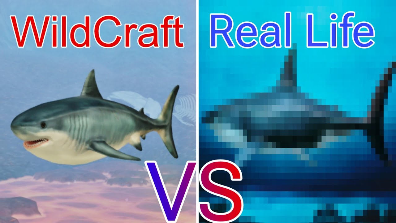 WildCraft: Все боссы океана в реальной жизни