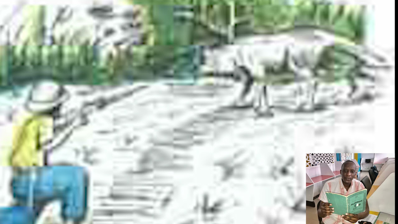 ISEGA N'UMUNTU  UMUHIGI UMWANA INTARE N'IGIKERI