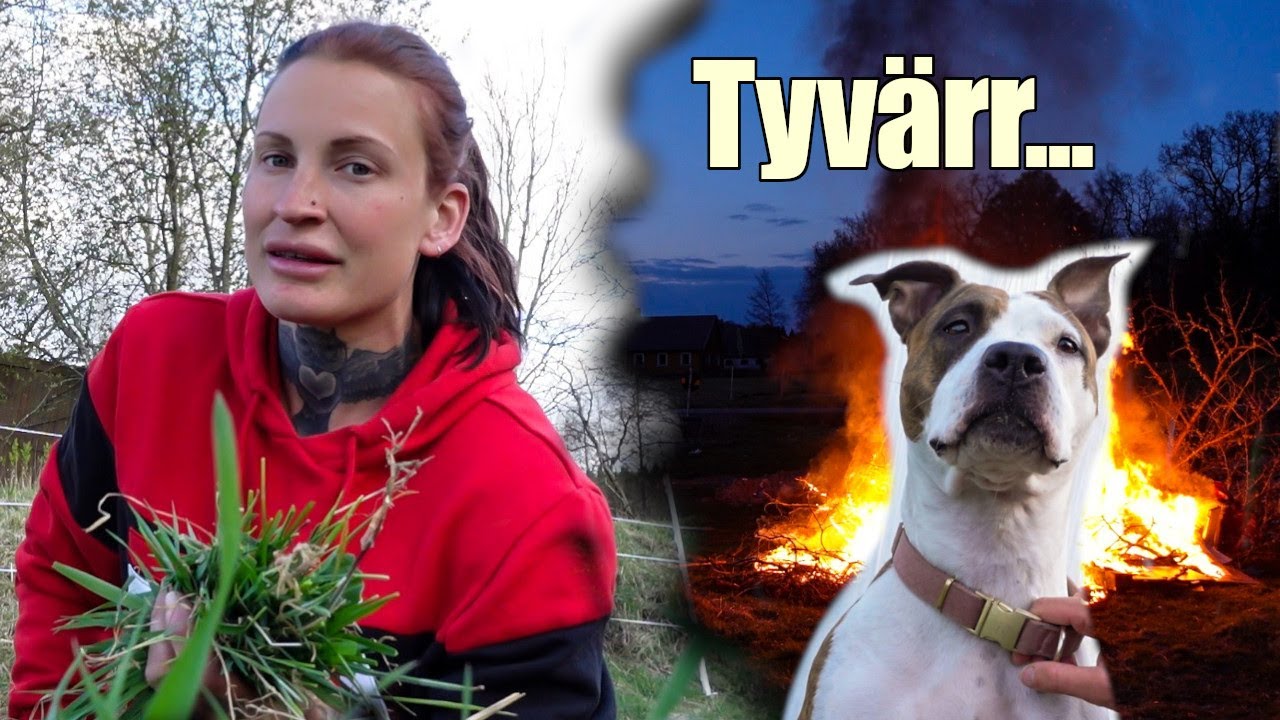 Vi har sålt henne.. || Vlogg