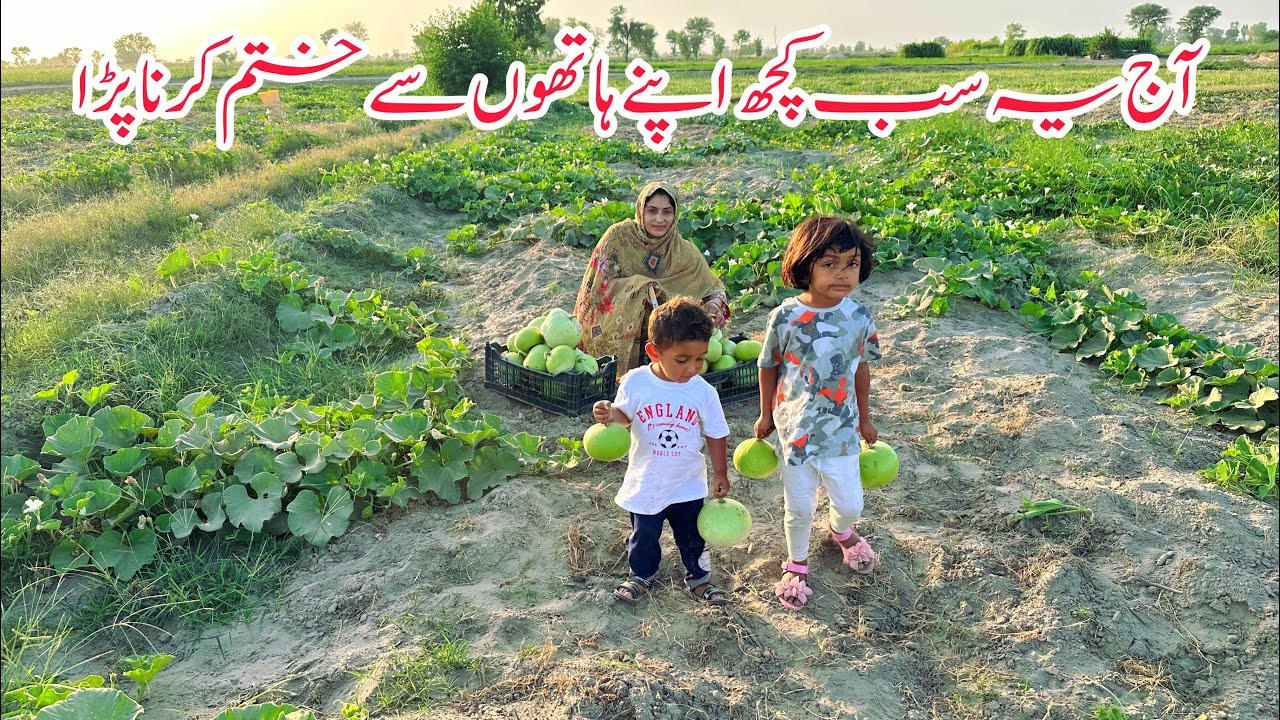 village life in pakistan I village woman besy day routine IHappy joint family vlogs