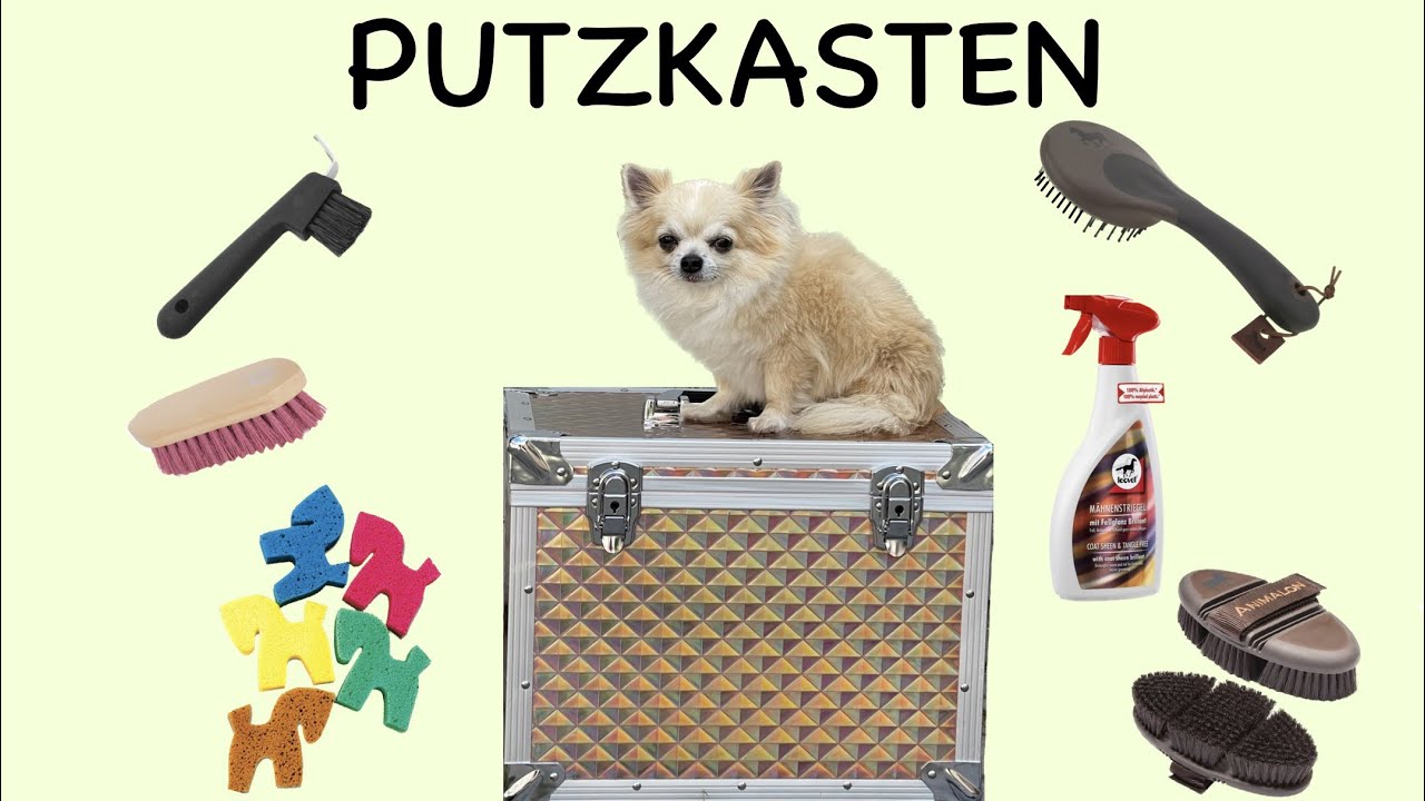Meine neue Putzbox !😍🐴von Uniqhorse
