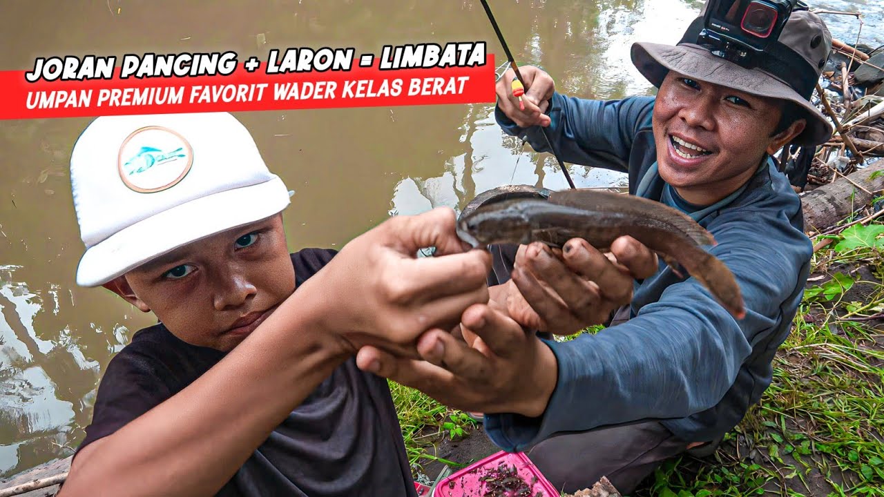 Mancing Blusukan Ke Sungai Bekas Banjir Ternyata Dapat CHANNA LIMBATA!