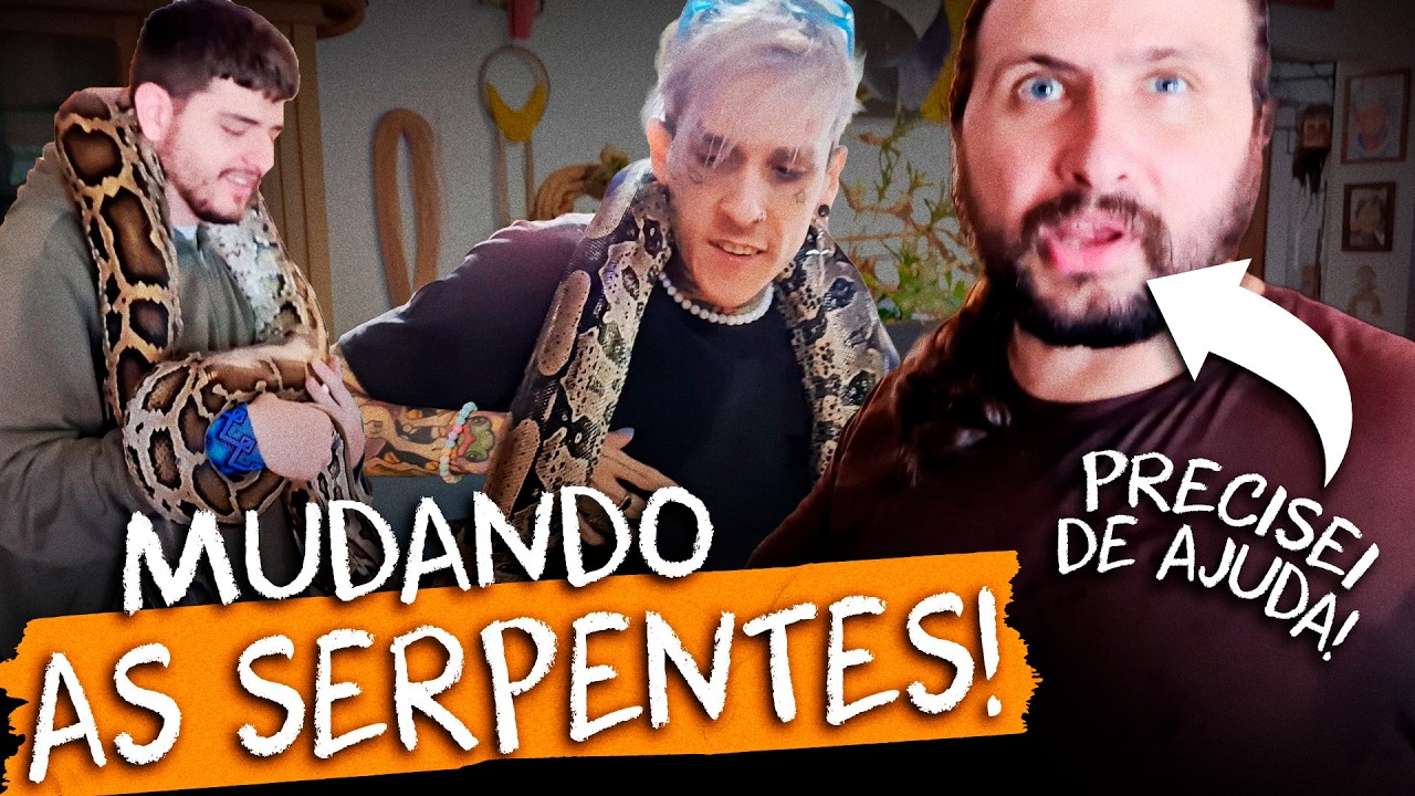 COMO É LIMPAR O RECINTO DAS MAIORES SERPENTES DO MUNDO 🐍🔥