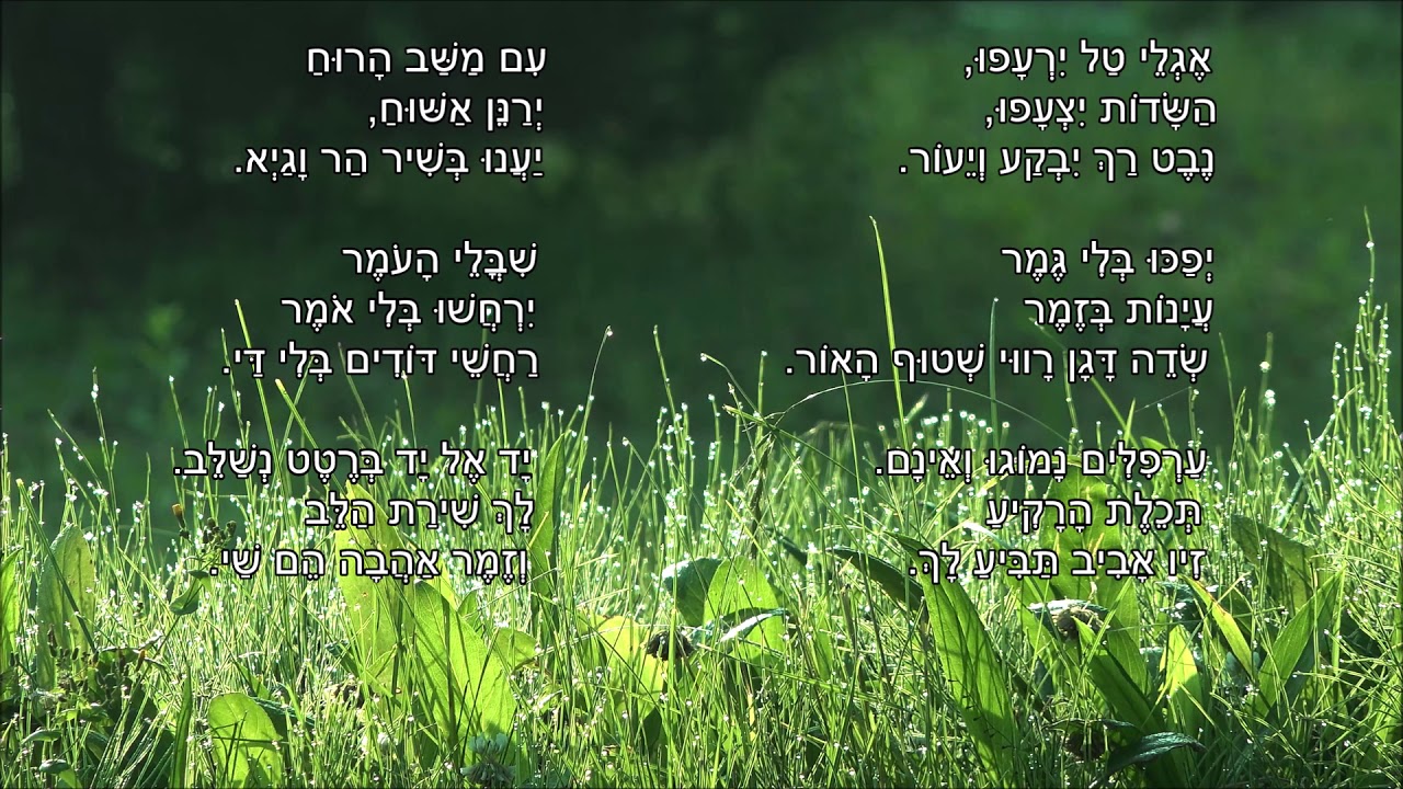שיר עד - אגלי טל - מילים: משה פישביין | לחן: יזהר ירון | שירה: אהובה צדוק, 1959 - Ahuva Tsadok