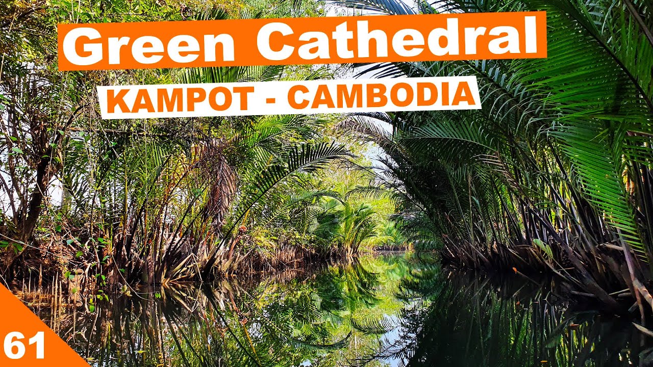 MUST DO IN Kampot Cambodia | Green Cathedral Kayaking