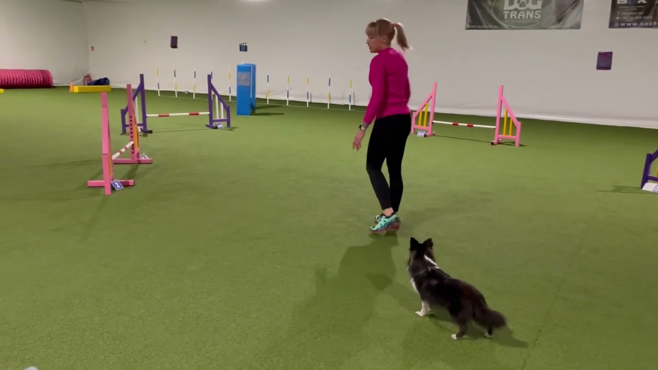 Ryn training 2024.10.24. With Rita Papp