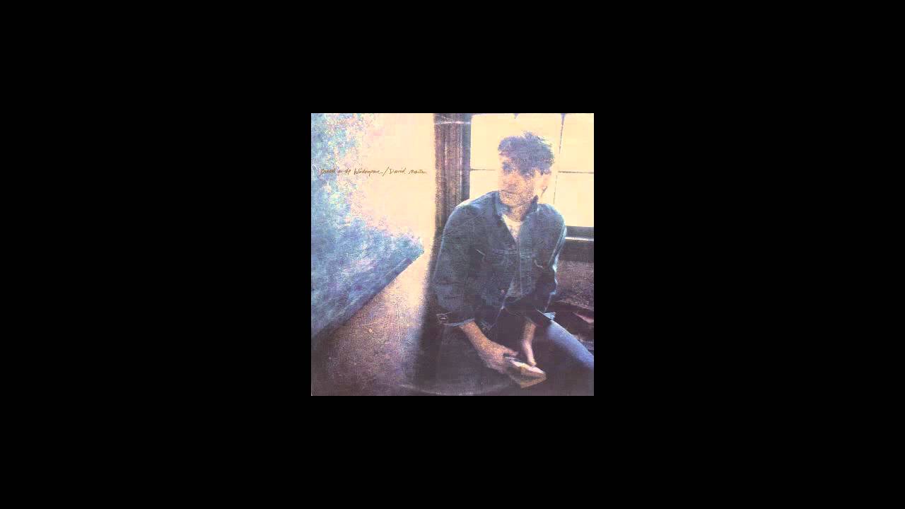 David Martin - You're To Blame