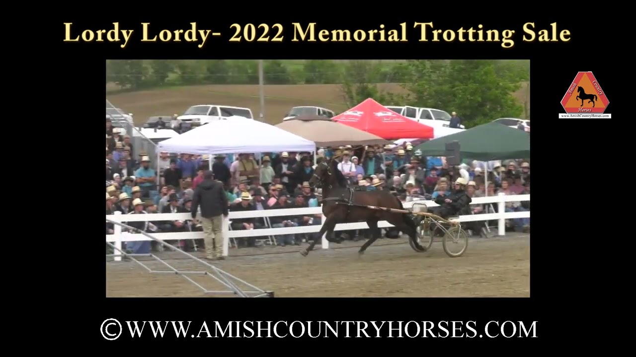 Lordy Lordy Selling at the 2022 Memorial Sale