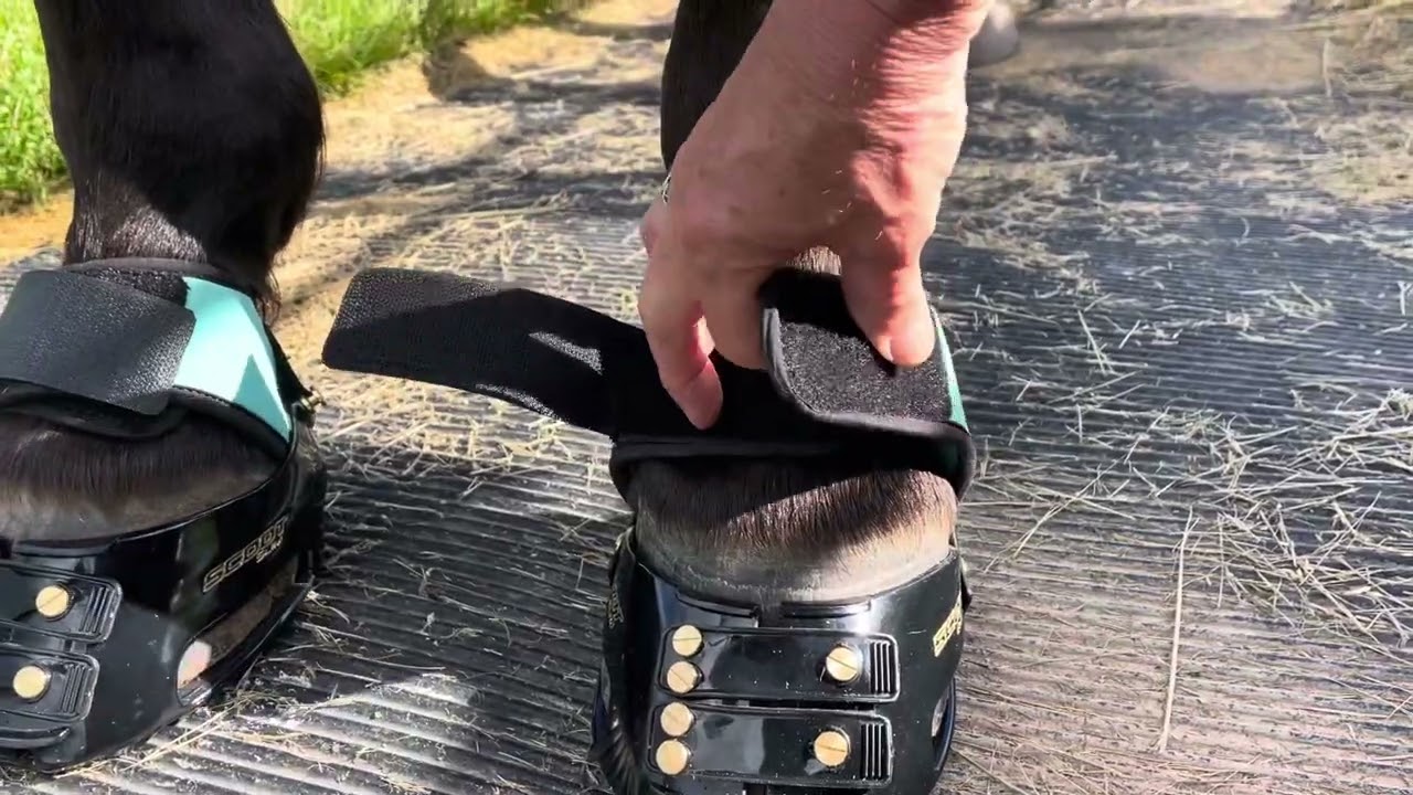 Multipurpose Gaiter on Adjust and Classic Scoots