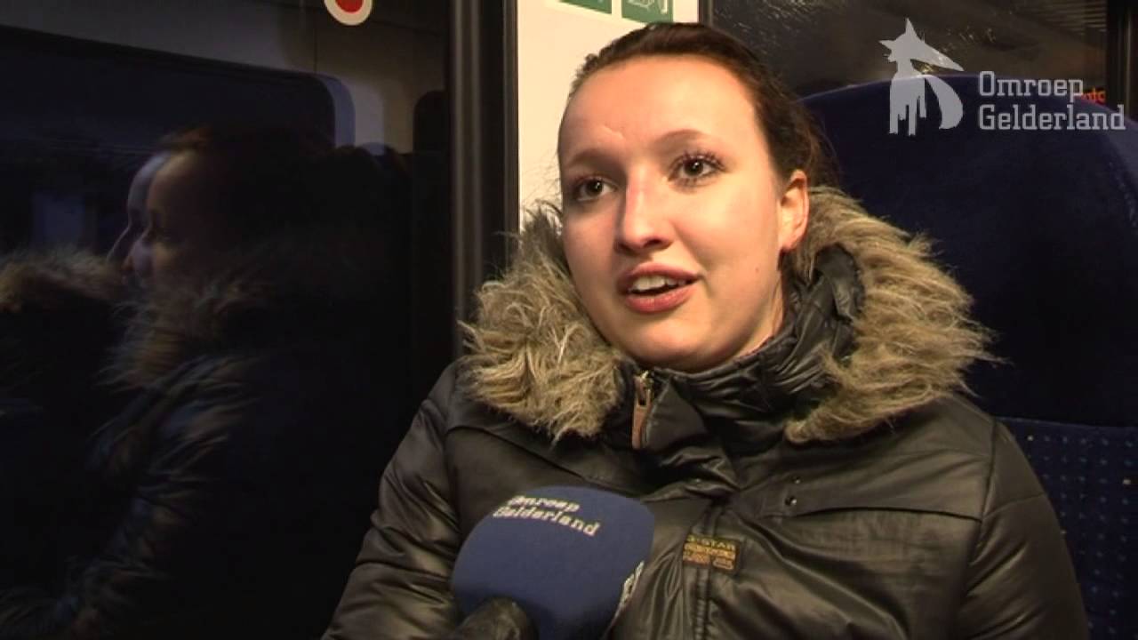 Nieuwe dienstregeling en vervoerders op Gelderse sporen