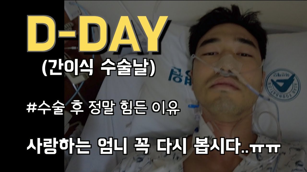 [D-DAY] 34살 간이식 기증자(공여자) 수술날 후기!