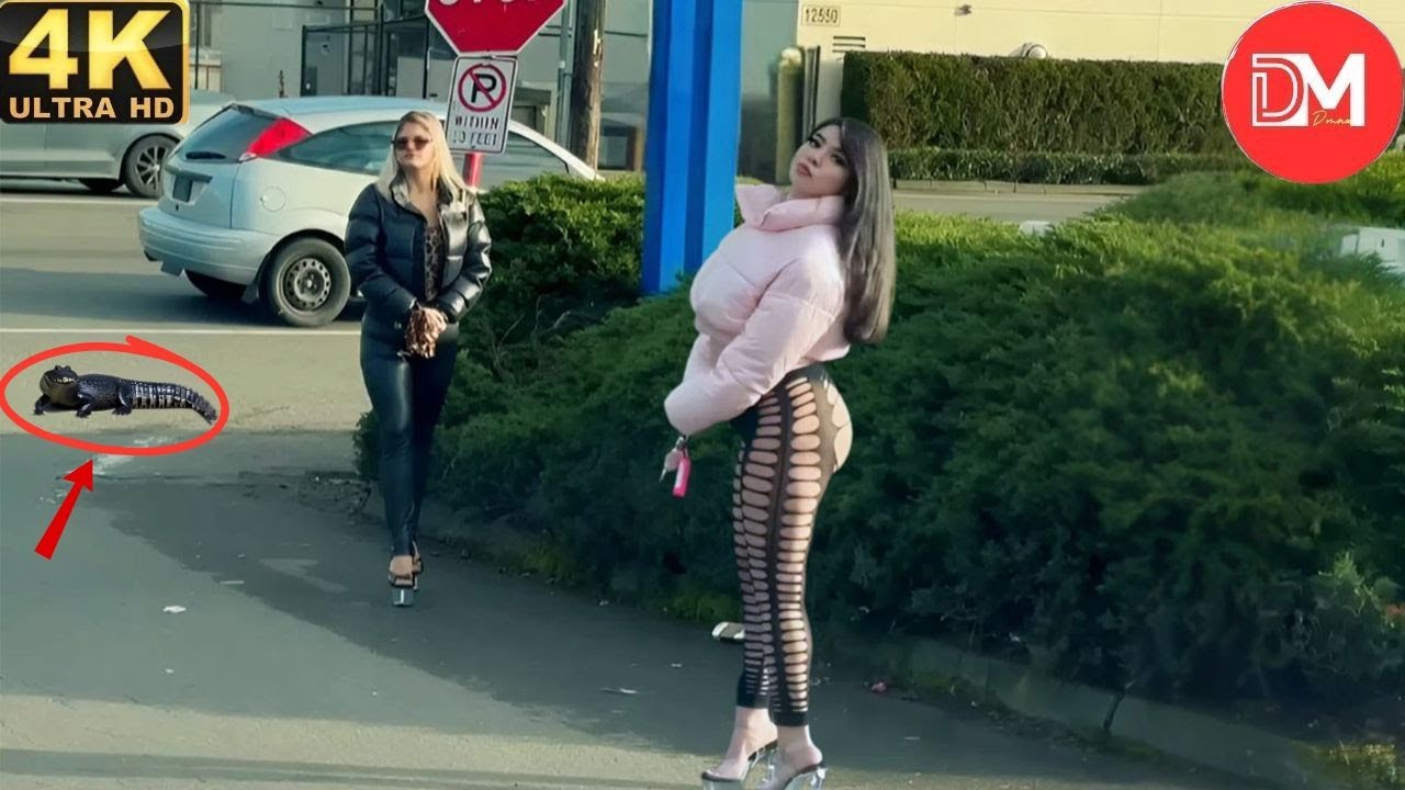 TOTAL IDIOTS AT WORK | Instant Regret Fails Compilation 2025 #470| Best Of The Week