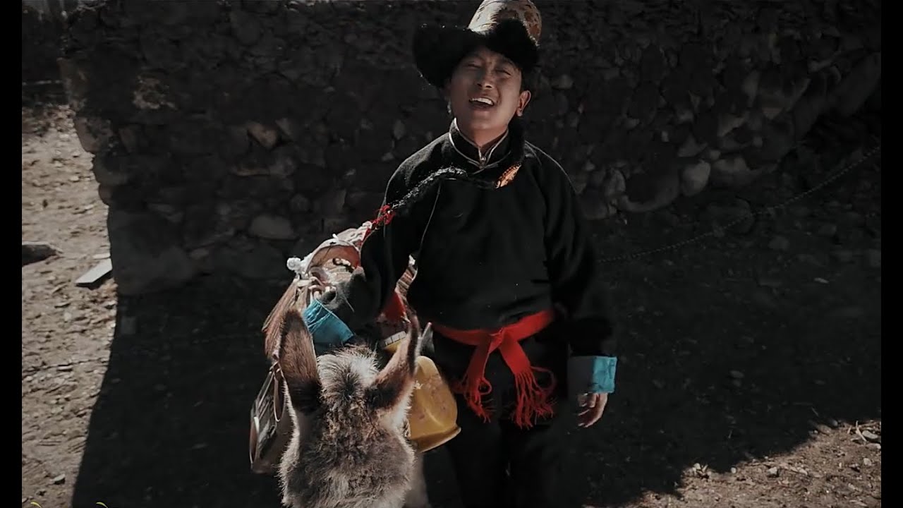 New Tibetan song 2024 ࿉ བོད་གཞས་གསར་པ་༢༠༢༤༼ཨ་ལ་པ་ལ།༽གཞས་པ། རྟ་མགྲིན་ནོར་བུ། ࿉ Tamdren Norbu 2024