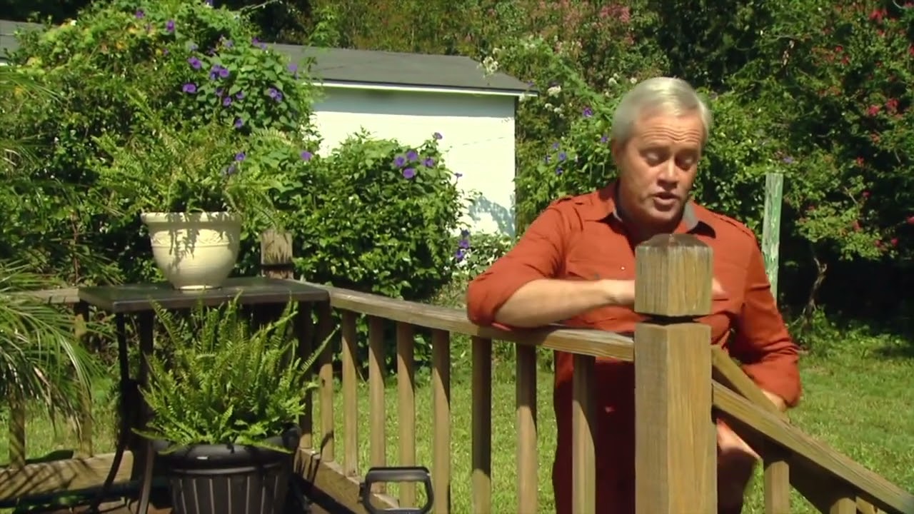 How Long You Should Wait Before Staining a New Deck