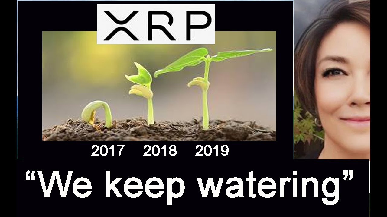 Ripple, XRP, SWIFT, R3 Corda Blockchain, Stuart Alderoty