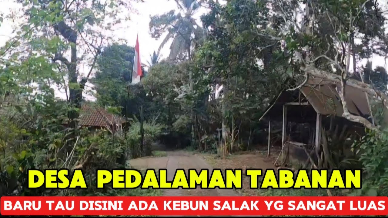 JELAJAHI DESA PEDALAMAN TABANAN BALI || DESA WANAGIRI YG PENUH KEBUN SALAK