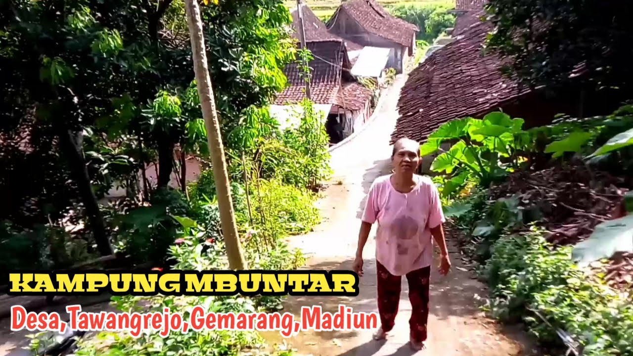 Indahnya suasana Pedesaan Jawa di Kampung mbuntar,Tawangrejo,gemarang madiun jawa timur