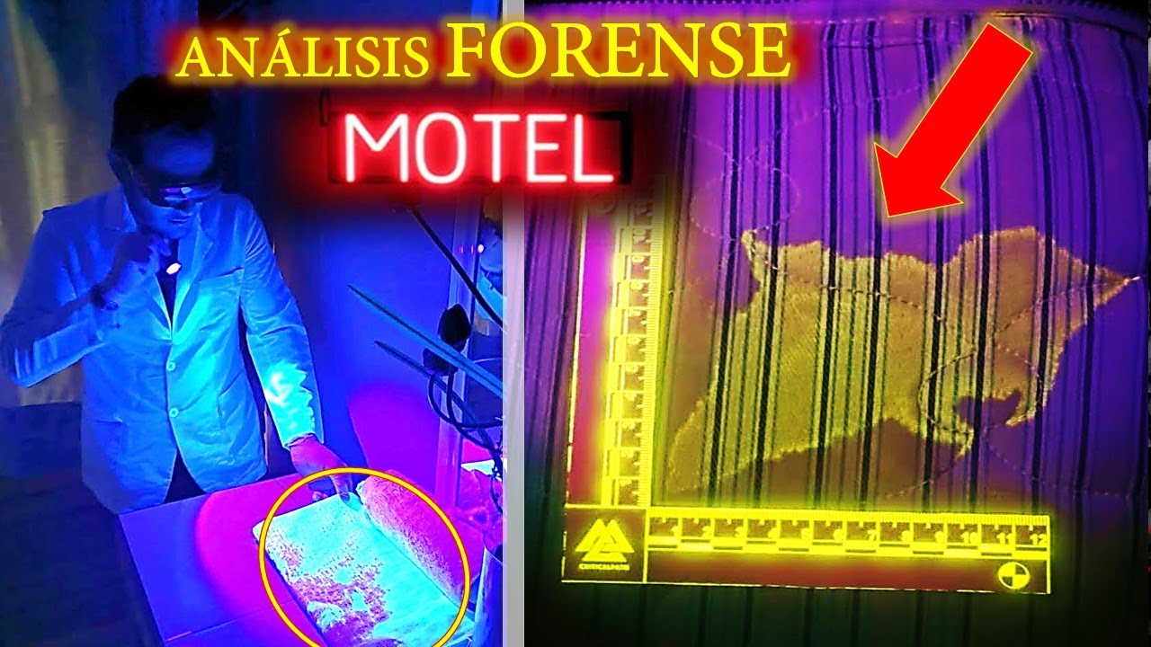 Análisis F0RENSE de un MOTEL