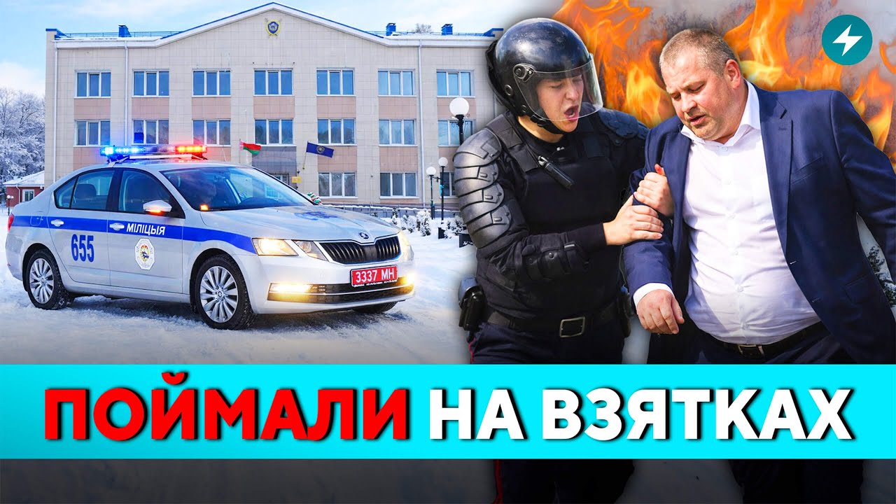 Громкое задержание! Начальника задержали за взятки. В дело вмешался спецназ // Новости