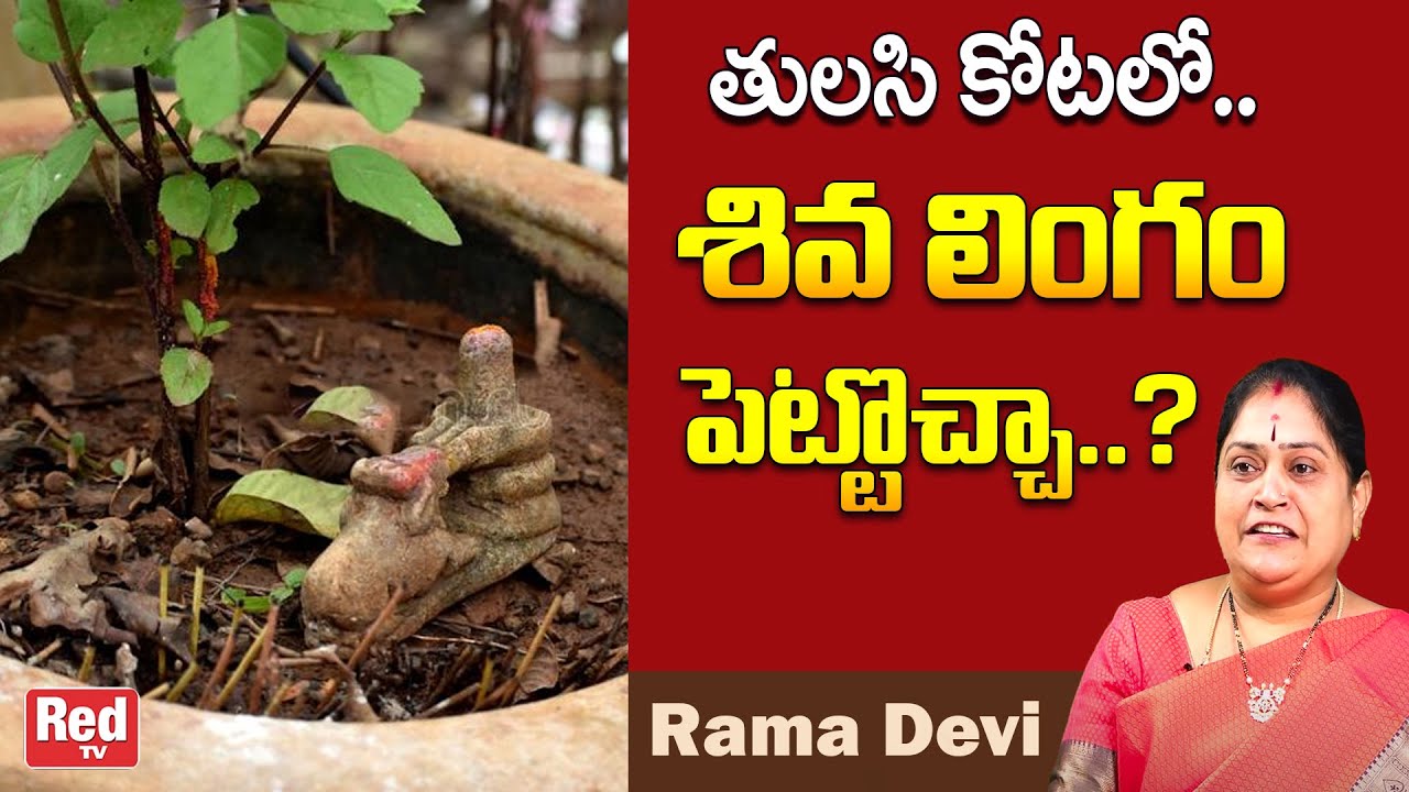 తులసి కోటలోశివ లింగం పెట్టొచ్చా..? | Shiva Linga in Tulasi Kota | Rama Devi | RedTv Bhathi