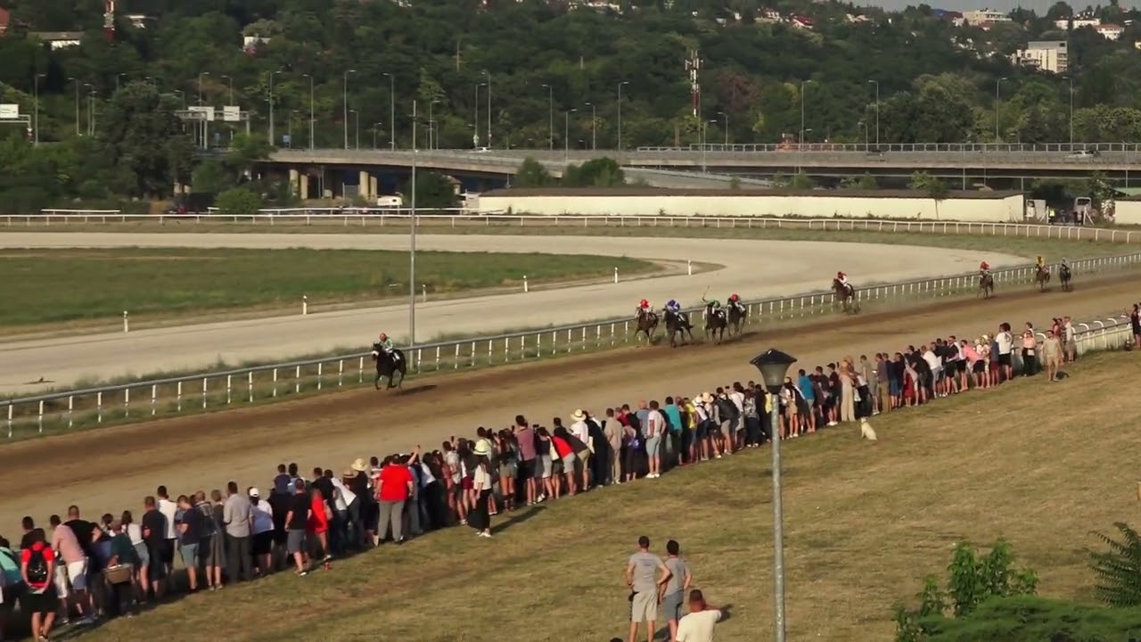 3.7.2022 - VI Trka - MaxBet 100. SRPSKI GALOPSKI DERBI - Hipodrom Beogras
