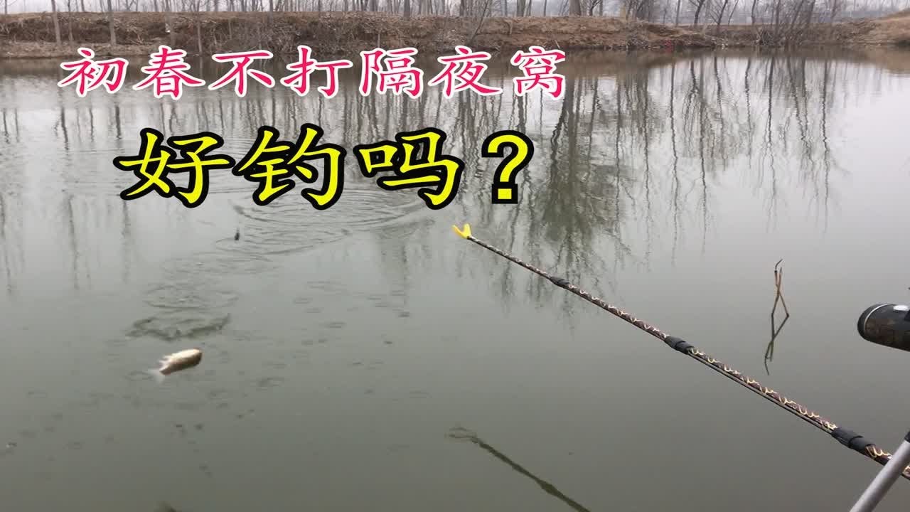 冬末春初野河新钓位不打隔夜窝 会好钓吗？