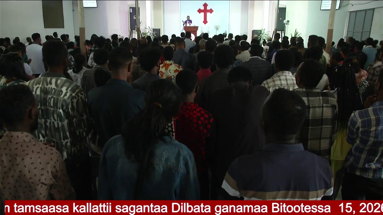Sagantaa Waaqeffannaa Dilbata kan Bitootessa 15 , 2026