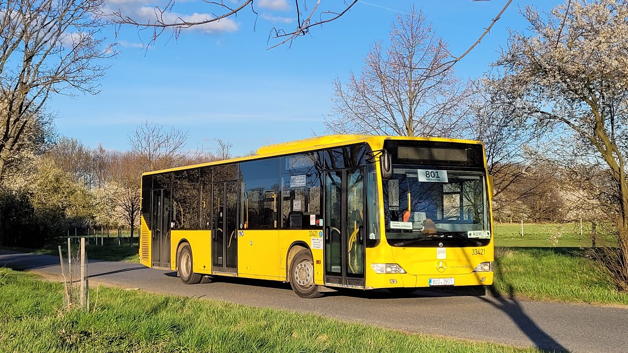 Mercedes-Benz O 530 Citaro II 8C0 3931 #33421, OM906 + Voith | Linka 801 MHD Kutná Hora | Lutan
