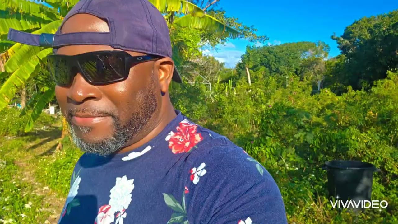 FoodPost Farms Tour In North Eleuthera, Bahamas 