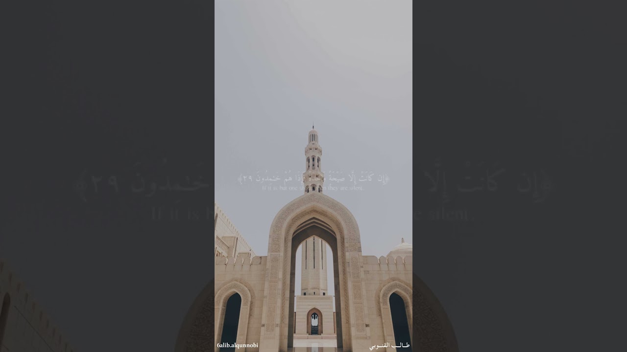 طالب القنوبي | سورة يس