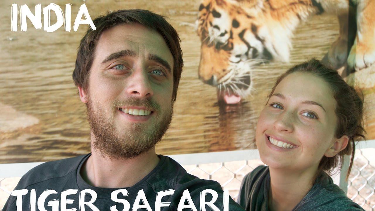 Sariska Tiger Reserve -Safari from Jaipur (Travel Vlog)