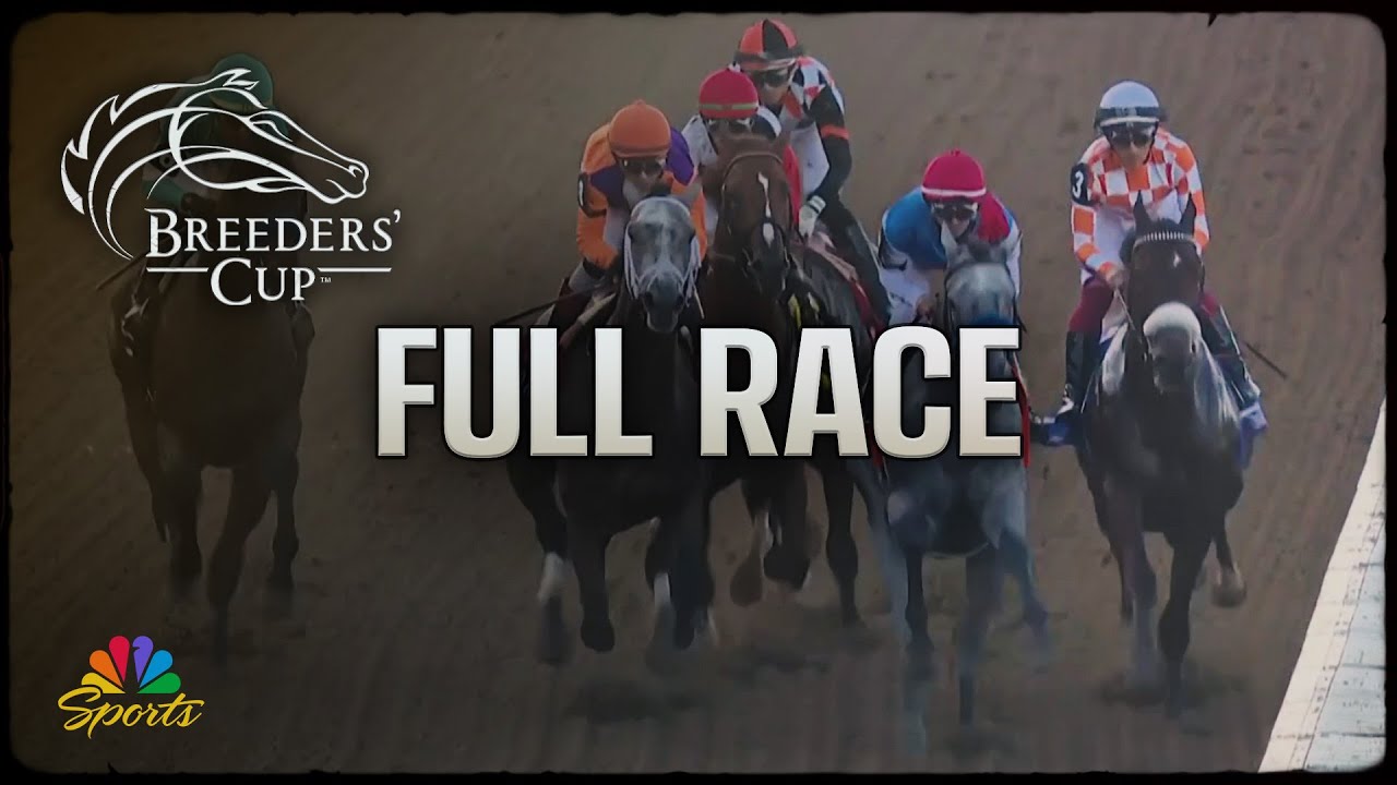 Breeders' Cup 2025: Juvenile (Full Race) | NBC Sports