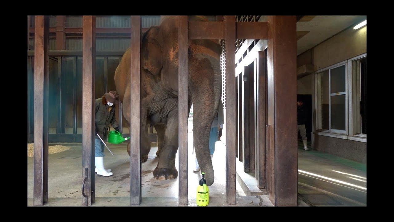 2026.01.20 15:40-15:49 ズゼ 足のケア、夕ごはん