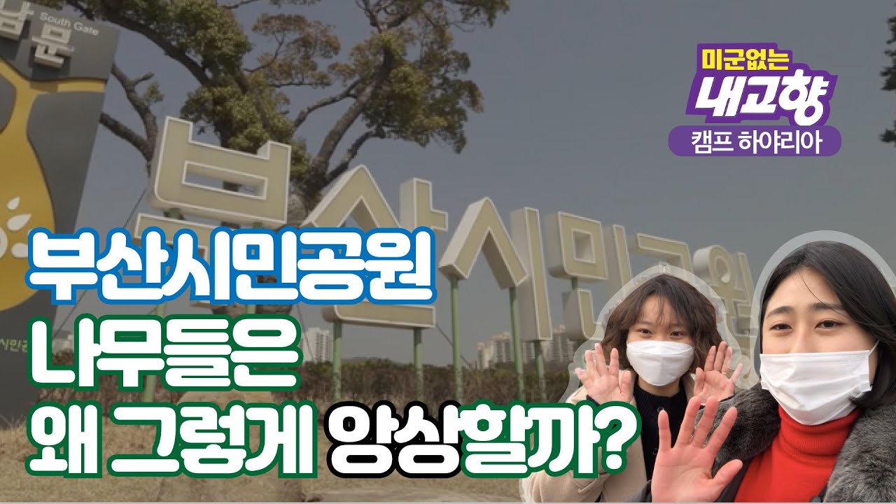 [부산 캠프 하야리아] 부산시민공원 나무들은 왜 그렇게 앙상할까?