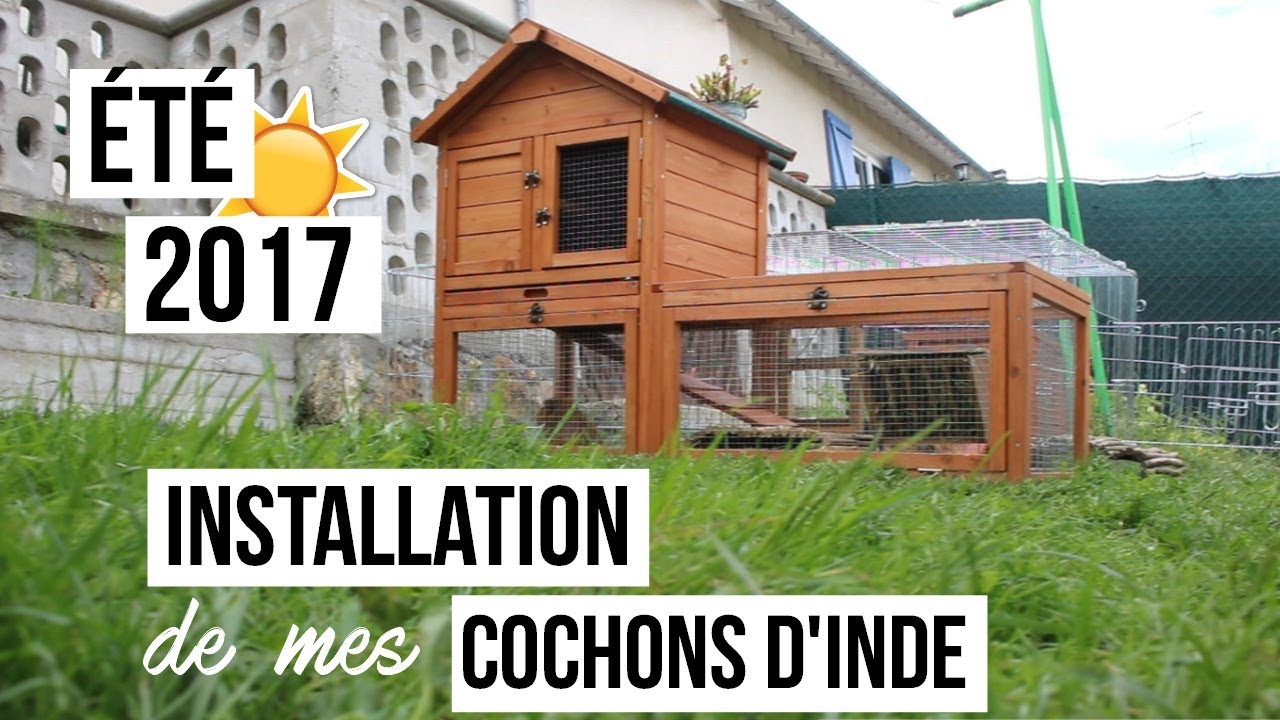 Installation pour l'été de mes cochons d'inde │ 2017