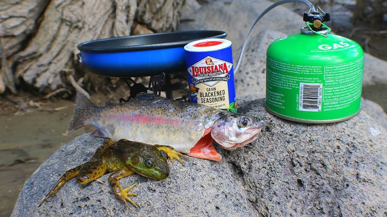 Catch n' Cook Bullfrogs & Trout at the Creek!