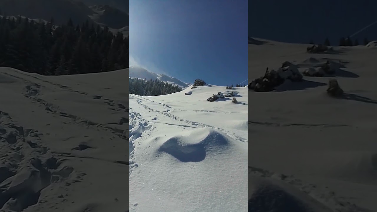 cagire du 1 mars #3 