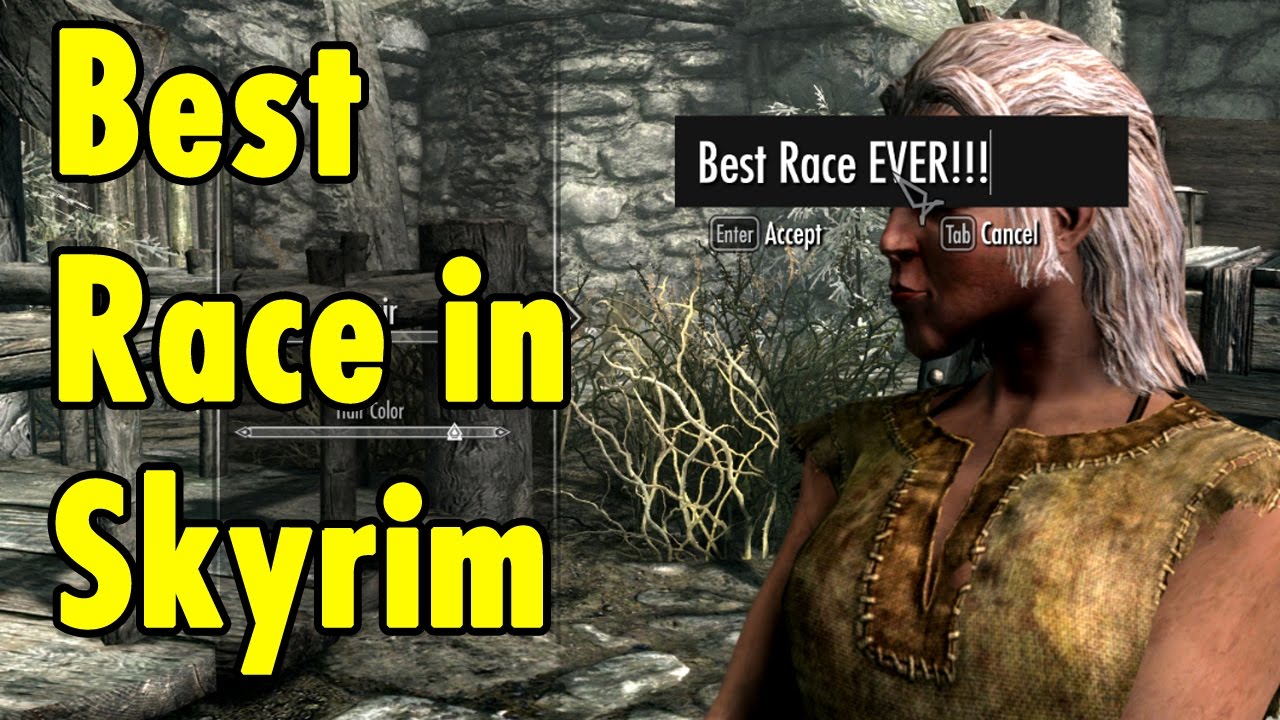 Best Race in Skyrim Special Edition - xBeau Gaming