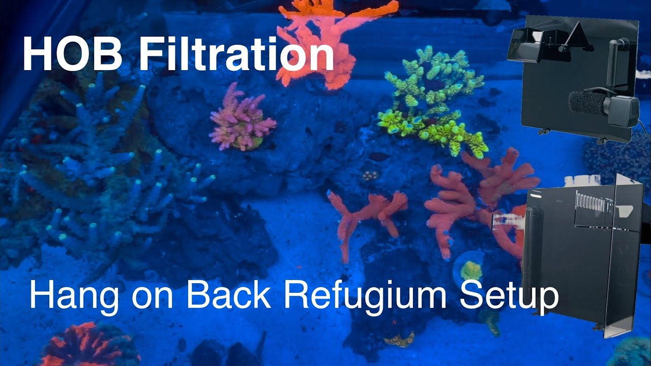 Dual HOB Refugium Setup Hang on Back Filtration Saltwater Coral Reef Aquarium