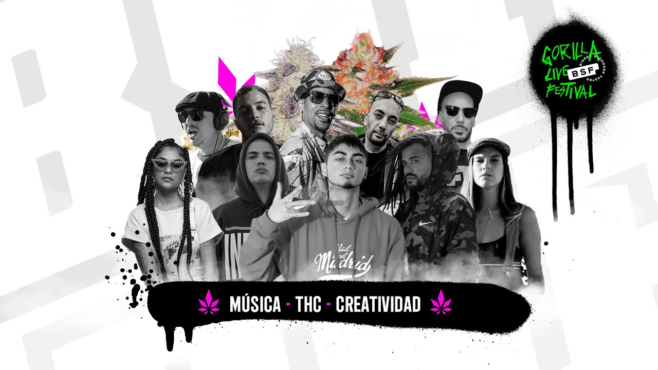 C.TERRIBLE - GORILLA LIVE FESTIVAL - BSF SEEDS - 2021