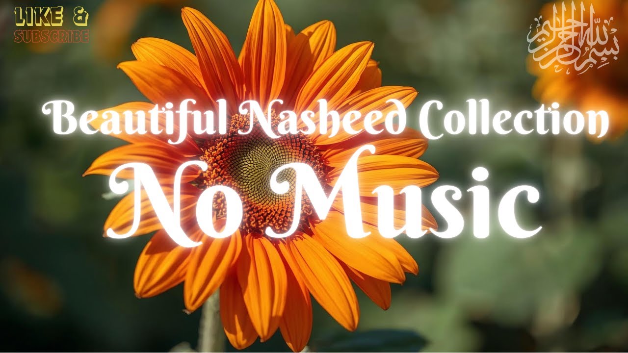Beautiful Nasheed Collection No Music | Beauty of Tawhid ﷽ Pure Iman That Touches Hearts Worldwide!!