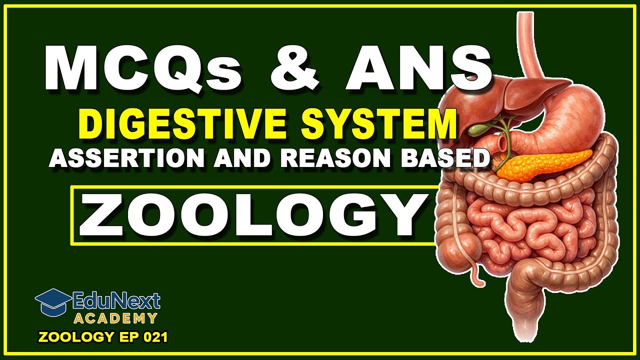 Digestive System MCQs in One Shot |पाचन तंत्र MCQs | Biology/Zoology Practice Questions