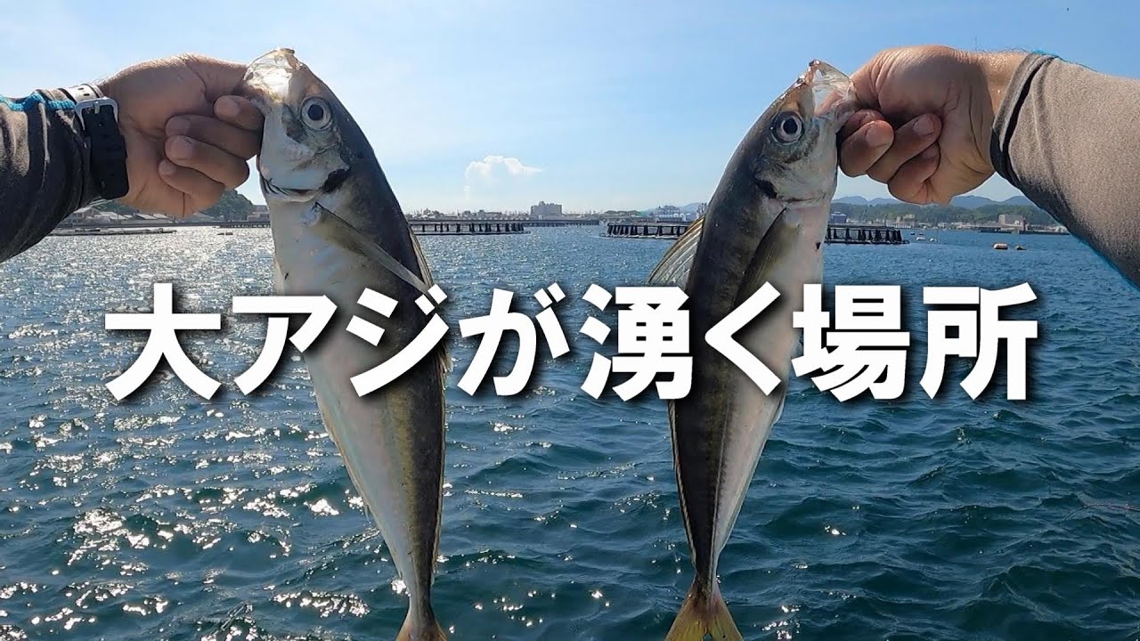 ページ88　初心者からファミリーまでのんびり楽しめる【串本カセ釣り】