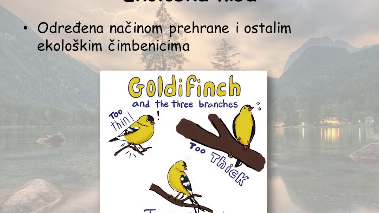 Biotički čimbenici 1  dio kompeticija