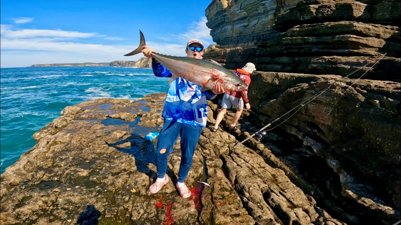LBG Bluefin Tuna on A Soft plastic! - (Outer Tubes, NSW)