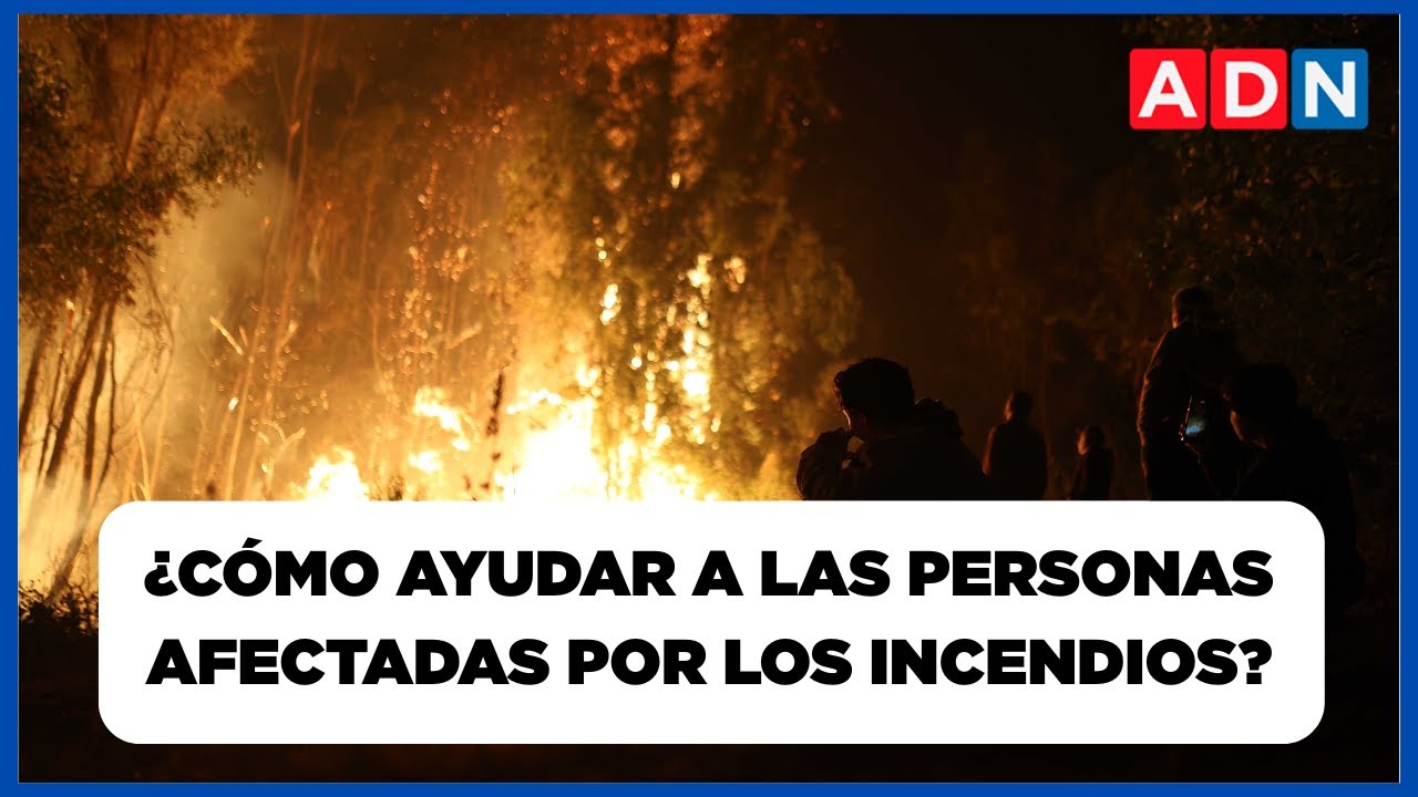 📺 🔴 Biobío: ¿Qué está pasando en los sectores afectados por los incendios forestales?